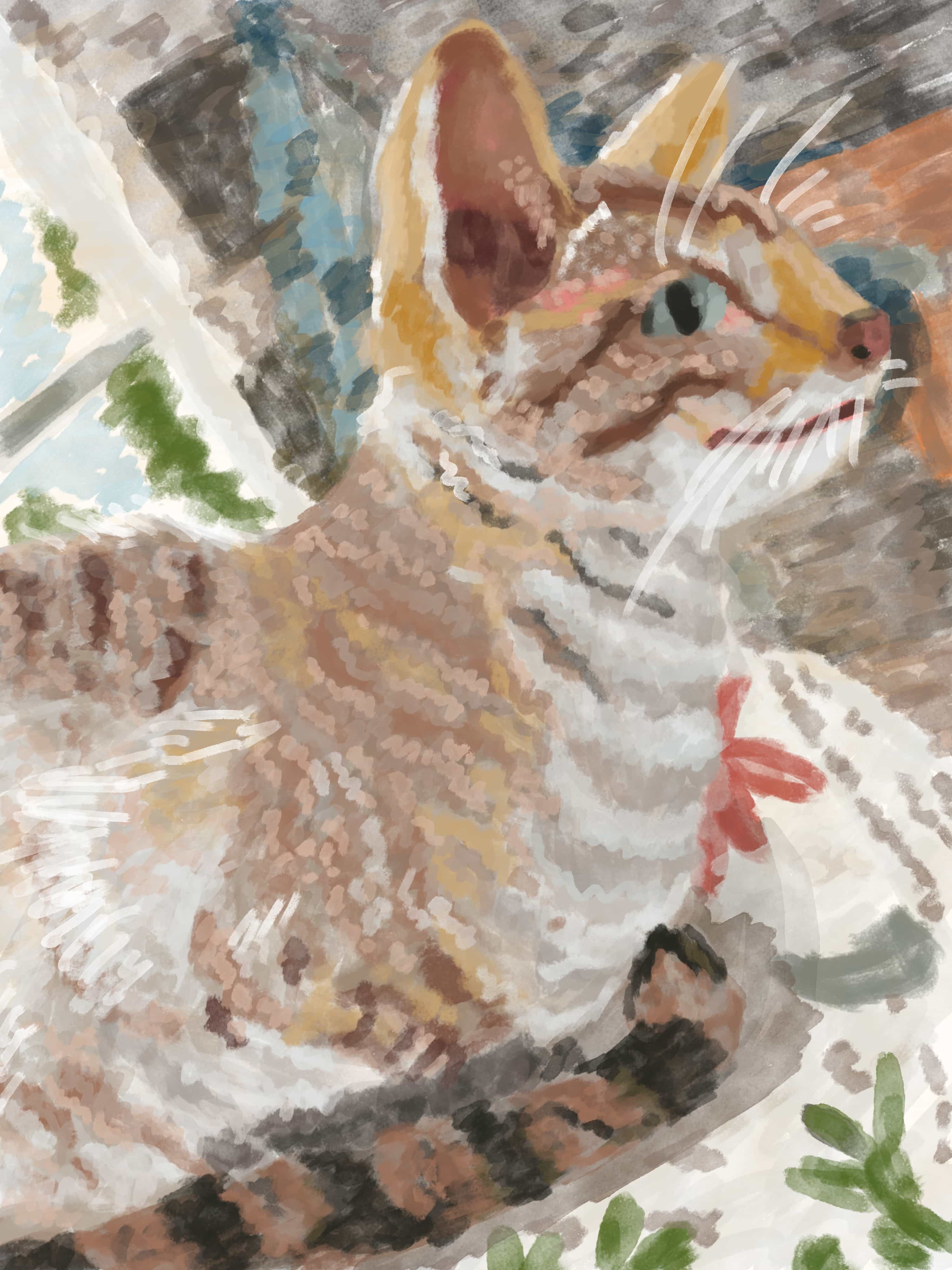 A bright colored cat happily standing near a window, bot facing away from it.